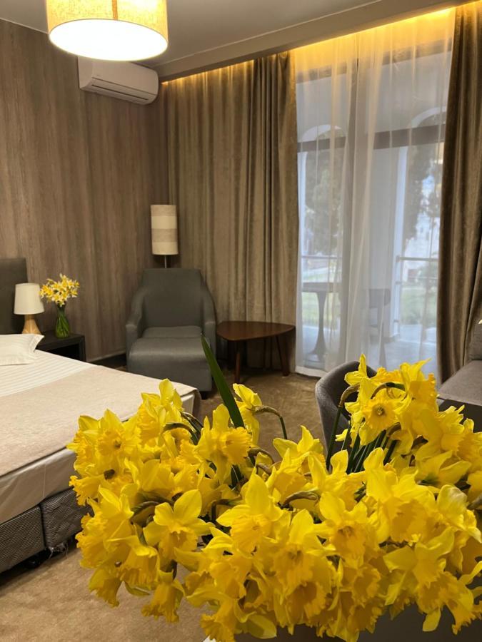Abaash Hotel Afon New Athos ภายนอก รูปภาพ